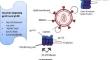 Clinical trials and recent progress in HIV vaccine development