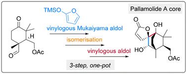 Synthesis of the bicyclic butenolide core of pallamolide A: a biomimetic approach†