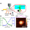 Role of oxygen in laser-induced contamination at diamond-vacuum interfaces