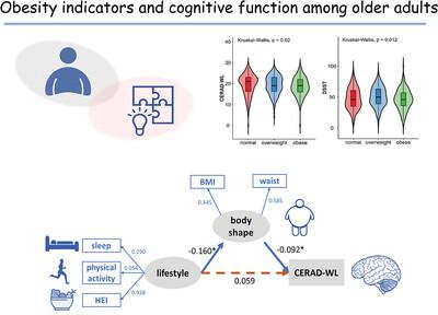 Association of obesity indicators with cognitive function among US adults aged 60 years and older: Results from NHANES