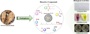 Pueraria thomsonii Benth-Associated Endophytes: A Multifaceted Exploration of Its Bioactive Molecules