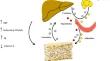 Osteokines in Nonalcoholic Fatty Liver Disease.