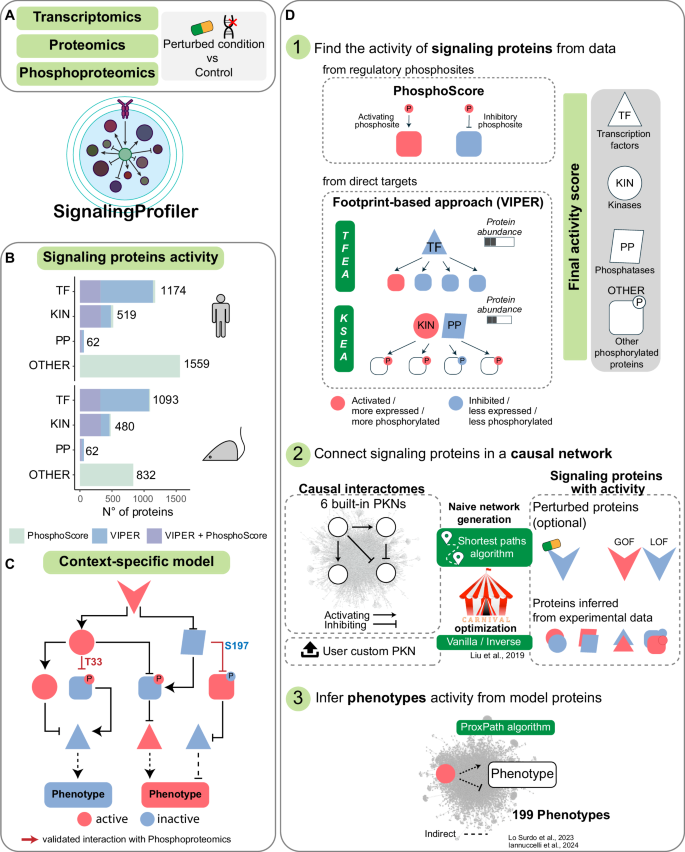 SignalingProfiler 2.0 a network-based approach to bridge multi-omics data to phenotypic hallmarks.