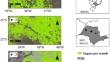 Regional Model to Predict Sugarcane Yield Using Sentinel-2 Imagery in São Paulo State, Brazil