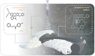 Reversible Hydro/Halochromic Electrospun Textiles: Harnessing Chromic Technologies in Wearables for Anti‐Counterfeiting Applications