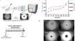 Rapid quantitative high-throughput mouse embryoid body model for embryotoxicity assessment.