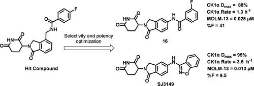 Structure–Activity Relationship of Potent, Selective, and Orally Bioavailable Molecular Glue Degraders of CK1α