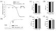 Effects of Phenanthrene on Electrical Activity of Ventricular Cardiomyocytes in Atlantic Cod (Gadus morhua)