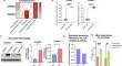 Calprotectin is regulated by IL-17A and induces steroid hyporesponsiveness in asthma.