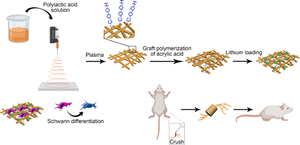 Enhanced axonal regeneration and functional recovery of the injured sciatic nerve in a rat model by lithium-loaded electrospun nanofibrous scaffolds