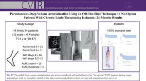 Percutaneous Deep Venous Arterialization Using an IVUS-Guided Technique in no-Option Patients with Chronic Limb-Threatening Ischemia: 24-Month Results.