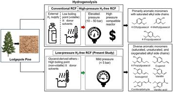 Glycerol-derived ethers enable hydrogen-free reductive catalytic fractionation of softwood lignin into functionalized aromatic monomers†