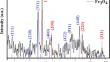 Catalytic oxidation of alcohols catalyzed by gold-coated iron oxide magnetic nanoparticles in water