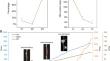 Integrated transcriptome and miRNA analysis provides insight into the floral buds dormancy in Prunus armeniaca