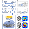 Nonlocal inverse design of an ultrasonic lens for underwater manipulation of orbital angular momentum