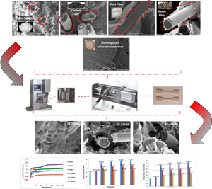 Study of the effect of hexagonal boron nitride addition to thermoplastic polyester elastomer composites reinforced with carbon, glass and basalt fibers