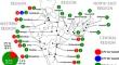 Whole-genome sequence analysis of canine parvovirus reveals replacement with a novel CPV-2c strain throughout India