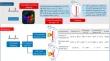 Lessons from ablation responses to preferential wavefront in typical atrial flutter