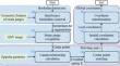 An Accurate Strain Gauge Positioning Approach Based on Geometry and Color Features