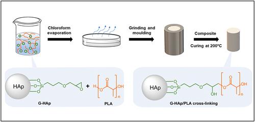 Modulation of mechanical and thermal properties of poly(lactic acid)/hydroxyapatite composites by interface crosslinking