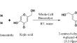 Lentilactobacillus farraginis FSI (3): a whole cell biocatalyst for the synthesis of kojic acid derivative under aquatic condition.