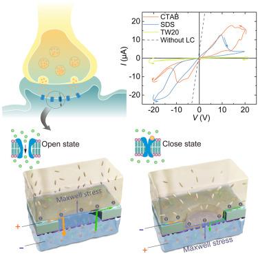 Reconfigurable neuromorphic computing by a microdroplet