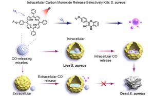 Intracellular carbon monoxide release unveils selective antibacterial effects