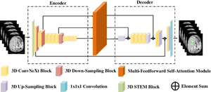 mm3DSNet: multi-scale and multi-feedforward self-attention 3D segmentation network for CT scans of hepatobiliary ducts.