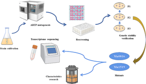 ARTP mutagenesis of Aureobasidium pullulans RM1603 for high pullulan production and transcriptome analysis of mutants