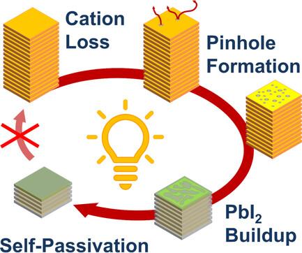 Illuminating the Devolution of Perovskite Passivation Layers