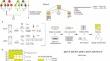 Comprehensive analysis of somatic mutations and structural variations in domestic pig.