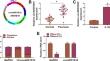 CircAKR1B10 interacts with EIF4A3 to stabilize AURKA and promotes IL-22-induced proliferation, migration and invasion in keratinocytes.