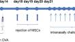 The function and mechanism of Human nasal mucosa-derived mesenchymal stem cells in allergic rhinitis in mice.