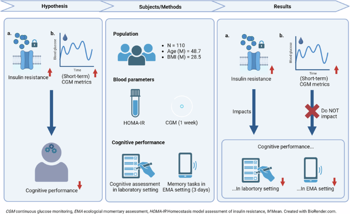 Impact of blood glucose on cognitive function in insulin resistance: novel insights from ambulatory assessment