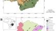 Exploring urban forests in Minas Gerais, Brazil: floristic diversity and biome-driven insights to green infrastructure planning