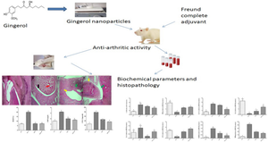 Gingerol nanoparticles attenuate complete Freund adjuvant-induced arthritis in rats via targeting the RANKL/OPG signaling pathway.