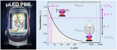 Wireless μLED packed beds for scalable continuous multiphasic photochemistry†