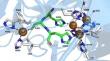 Laccase: exploring structural insights and functional versatility for applications