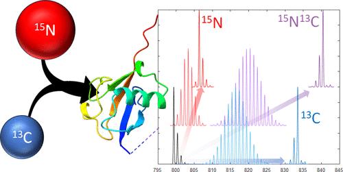 Automated Assignment of <sup>15</sup>N And <sup>13</sup>C Enrichment Levels in Doubly-Labeled Proteins.