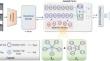 Anomaly detection in surveillance videos using Transformer with margin learning