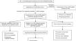 Liquid–liquid phase separation-related genes associated with prognosis, tumor microenvironment characteristics, and tumor cell features in bladder cancer