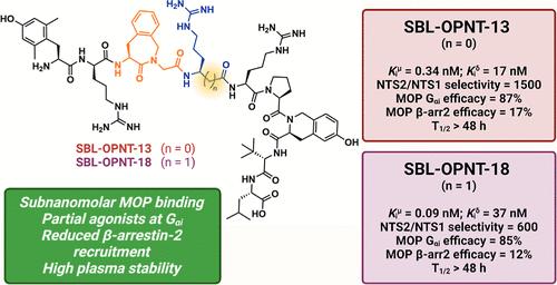 Design, Synthesis, and In Vitro Characterization of Proteolytically-Stable Opioid-Neurotensin Hybrid Peptidomimetics