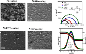 Effects of Carbon Allotrope Type on Microstructural and Electrochemical Properties of Ni-C Nanocomposite Coating Prepared by Pulse-Reverse Electrodeposition Method