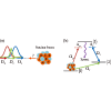 High-fidelity nuclear coherent population transfer via mixed-state inverse engineering