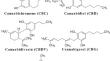 Discovering Novel Bioherbicides: The Impact of Hemp-derived Phytocannabinoid Applications on Zea mays L. and Relevant Weeds