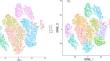 Characteristics of the Dynamic Evolutionary Pathway of ADSCs Induced Differentiation into Astrocytes Based on scRNA-Seq Analysis.