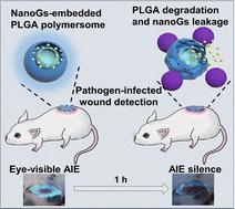 Aggregation-induced emission silence-mediated pathogen detection using a rapidly degradable nanographene-embedded polymersome