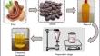 Synthesis, testing, and evaluation of efficiency and emissions properties of tamarind-based biodiesel with magnetite nanoparticles