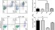 Sphingosine 1-phosphate protective effect on human proximal tubule cells submitted to an in vitro ischemia model: the role of JAK2/STAT3.