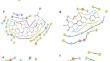 Phytochemicals of Different Medicinal Herbs as Potential Inhibitors Against Dengue Serotype 2 Virus: A Computational Approach